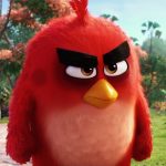 Film Angry Birds