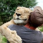 Binatang juga punya hak asasi untuk dilindungi dan dicintai