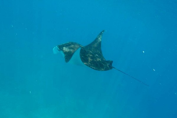 Taman Nasional Komodo