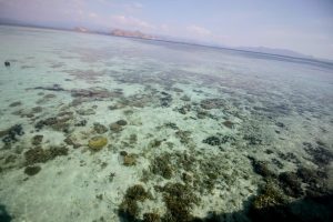 Taman Nasional Komodo