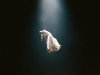Makna Lagu Supernatural, Arti, Fakta, dan Konteks Ariana Grande